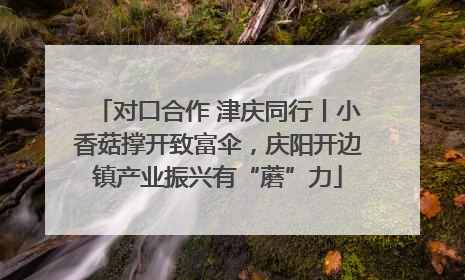 对口合作 津庆同行丨小香菇撑开致富伞，庆阳开边镇产业振兴有“蘑”力