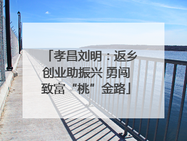 孝昌刘明：返乡创业助振兴 勇闯致富“桃”金路
