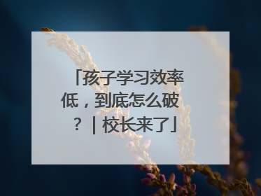 孩子学习效率低，到底怎么破？｜校长来了