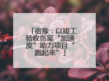 宿豫：以竣工验收备案“加速度”助力项目“跑起来”