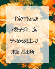 家中惊现67发子弹，遂宁两兄弟主动来到派出所