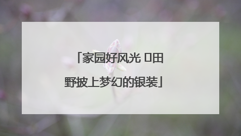 家园好风光 ⎮田野披上梦幻的银装