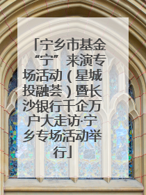 宁乡市基金“宁”来演专场活动（星城投融荟）暨长沙银行千企万户大走访·宁乡专场活动举行