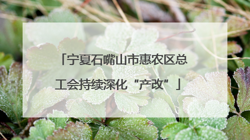 宁夏石嘴山市惠农区总工会持续深化“产改”