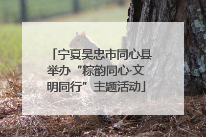 宁夏吴忠市同心县举办“粽韵同心·文明同行”主题活动