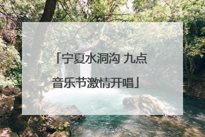 宁夏水洞沟 九点音乐节激情开唱