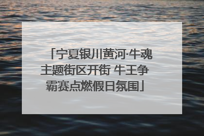 宁夏银川黄河·牛魂主题街区开街 牛王争霸赛点燃假日氛围