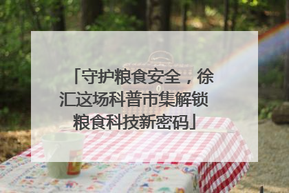 守护粮食安全，徐汇这场科普市集解锁粮食科技新密码