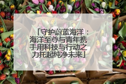 守护蔚蓝海洋：海洋至尊与青年携手用科技与行动之力托起纯净未来