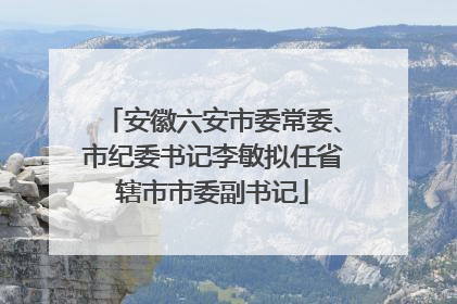 安徽六安市委常委、市纪委书记李敏拟任省辖市市委副书记