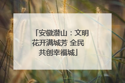 安徽潜山：文明花开满城芳 全民共创幸福城