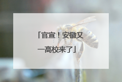 官宣！安徽又一高校来了