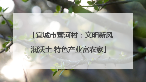 宜城市莺河村：文明新风润沃土 特色产业富农家