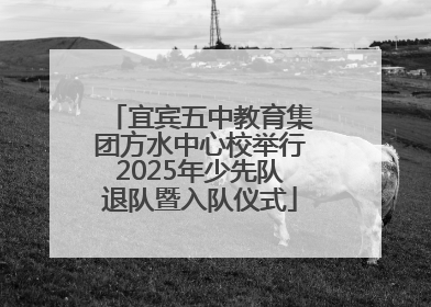 宜宾五中教育集团方水中心校举行2025年少先队退队暨入队仪式