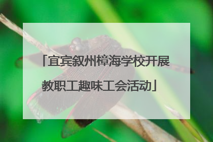 宜宾叙州樟海学校开展教职工趣味工会活动