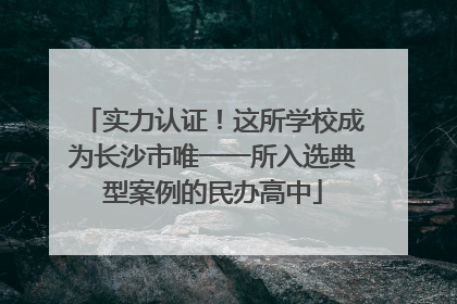 实力认证！这所学校成为长沙市唯一一所入选典型案例的民办高中