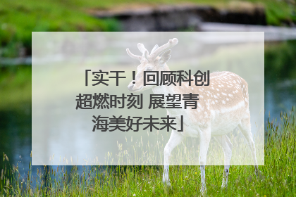 实干！回顾科创超燃时刻 展望青海美好未来