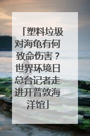 塑料垃圾对海龟有何致命伤害？世界环境日总台记者走进开普敦海洋馆