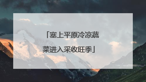 塞上平原冷凉蔬菜进入采收旺季