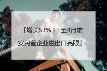 增长53%！1至4月雄安民营企业进出口亮眼
