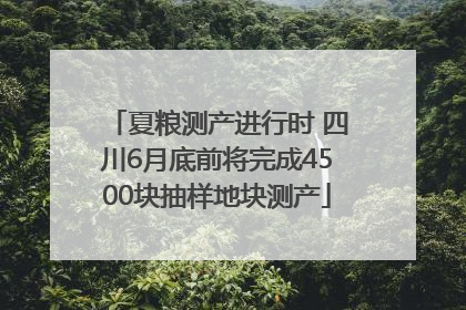 夏粮测产进行时 四川6月底前将完成4500块抽样地块测产