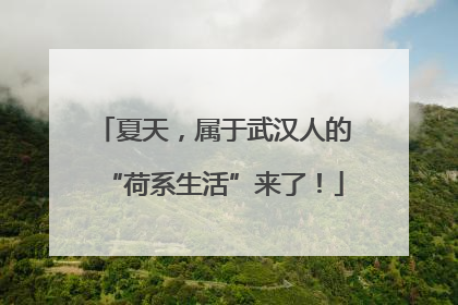 夏天，属于武汉人的“荷系生活”来了！