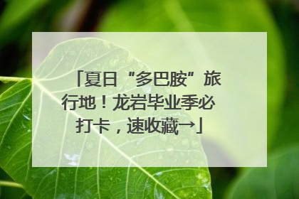 夏日“多巴胺”旅行地！龙岩毕业季必打卡，速收藏→