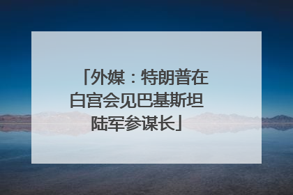 外媒：特朗普在白宫会见巴基斯坦陆军参谋长