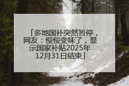多地国补突然暂停，网友：慢慢变味了，显示国家补贴2025年12月31日结束