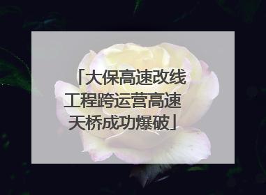 大保高速改线工程跨运营高速天桥成功爆破