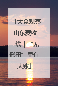 大众观察·山东麦收一线｜“无形田”里有大账