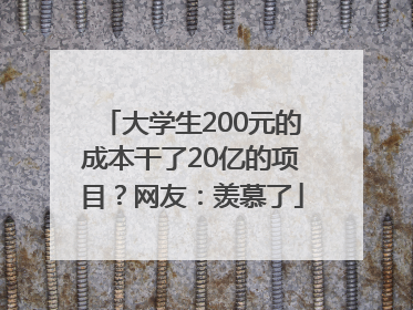 大学生200元的成本干了20亿的项目？网友：羡慕了