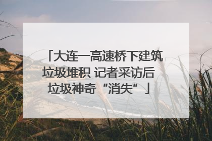 大连一高速桥下建筑垃圾堆积 记者采访后垃圾神奇“消失”