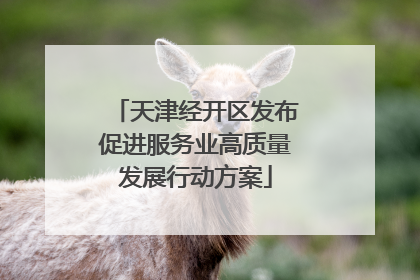 天津经开区发布促进服务业高质量发展行动方案