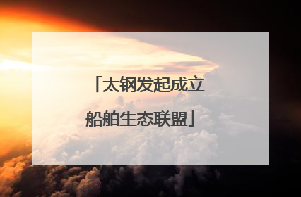 太钢发起成立船舶生态联盟