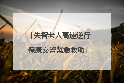 失智老人高速逆行 保康交警紧急救助