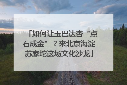 如何让玉巴达杏“点石成金”？来北京海淀苏家坨这场文化沙龙