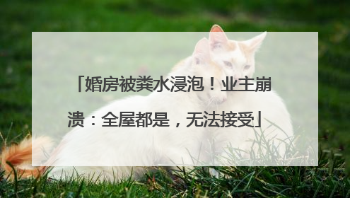 婚房被粪水浸泡！业主崩溃：全屋都是，无法接受
