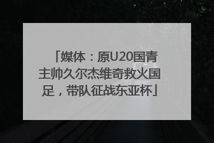 媒体：原U20国青主帅久尔杰维奇救火国足，带队征战东亚杯