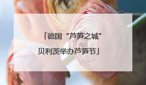 德国“芦笋之城”贝利茨举办芦笋节