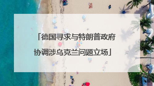 德国寻求与特朗普政府协调涉乌克兰问题立场