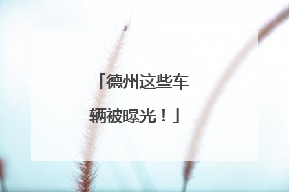 德州这些车辆被曝光！