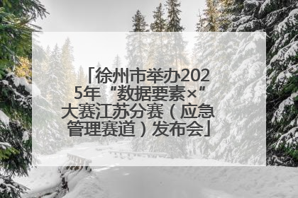 徐州市举办2025年“数据要素×”大赛江苏分赛（应急管理赛道）发布会