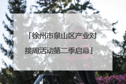 徐州市泉山区产业对接周活动第二季启幕