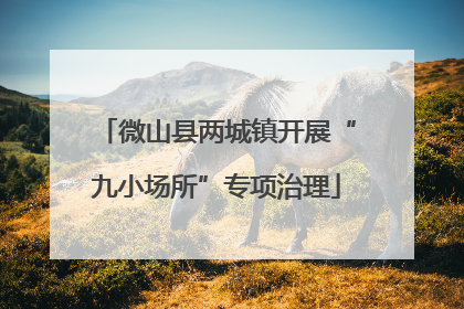 微山县两城镇开展“九小场所”专项治理