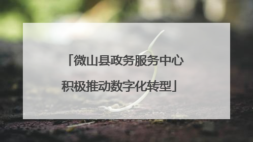 微山县政务服务中心积极推动数字化转型