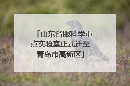 山东省眼科学重点实验室正式迁至青岛市高新区
