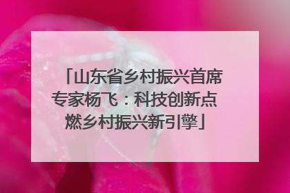 山东省乡村振兴首席专家杨飞：科技创新点燃乡村振兴新引擎
