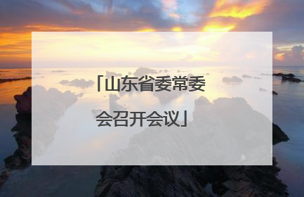 山东省委常委会召开会议
