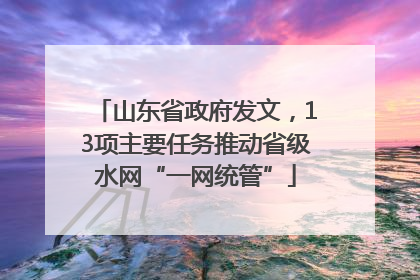 山东省政府发文，13项主要任务推动省级水网“一网统管”